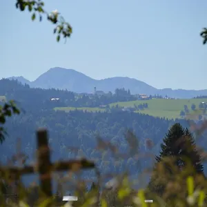 Apartment Alex Bergblick, Scheidegg